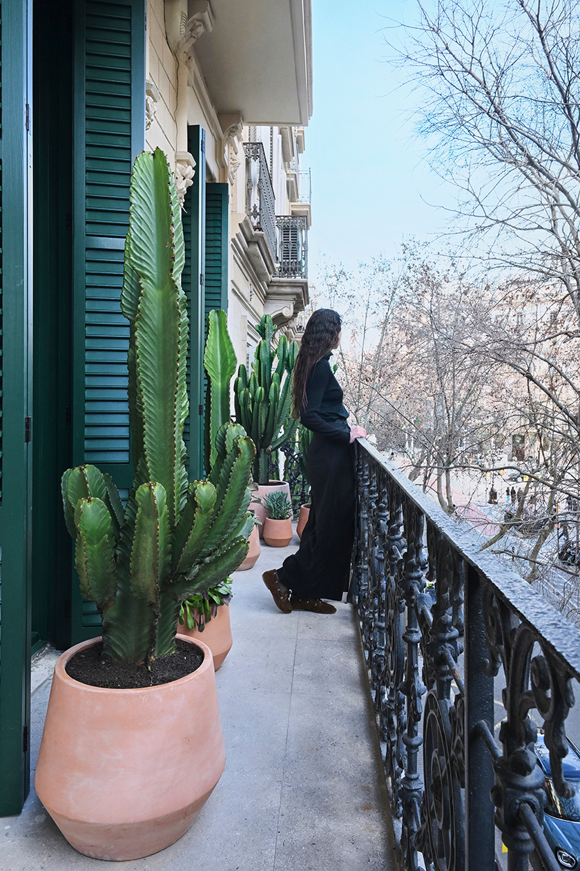 Balcony with wrought iron railing, potted cacti and green shutters opening to a tree-lined street