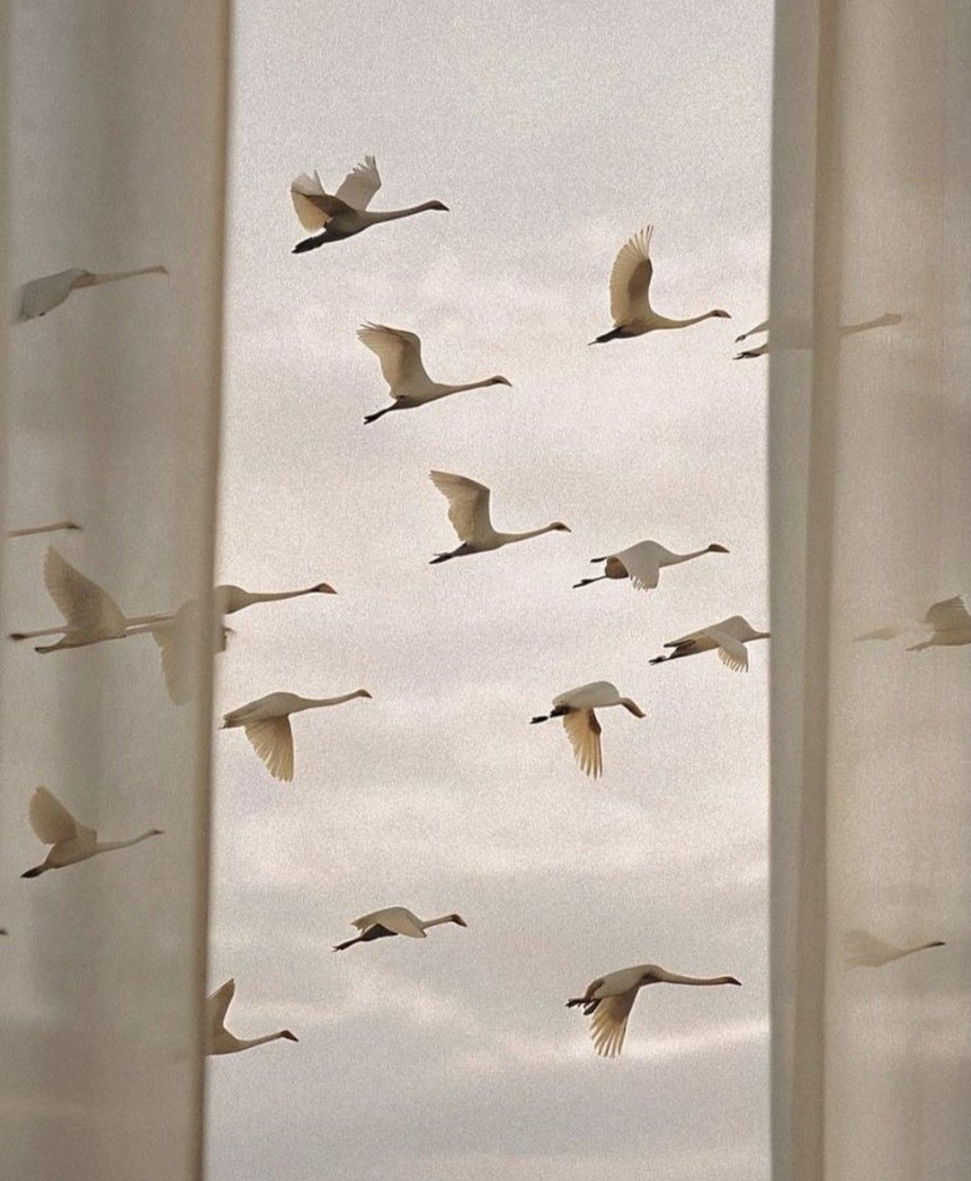 Birds flying through monumental architectural arches inspired by Egyptian design