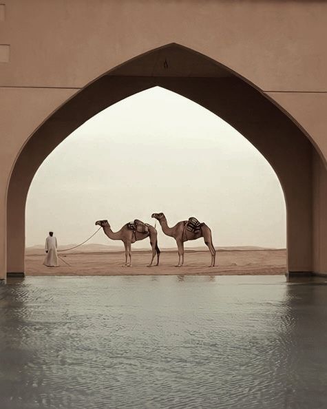 Camels beside water beneath a desert-inspired architectural arch