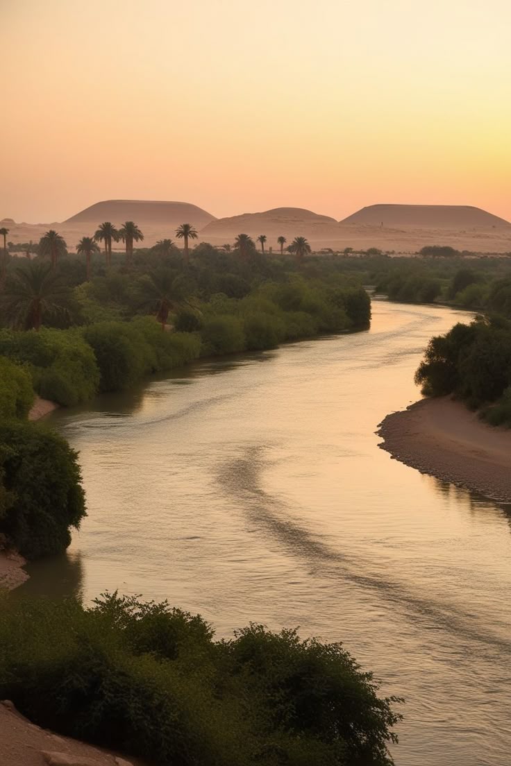 Nile river landscape with natural vegetation in Egypt