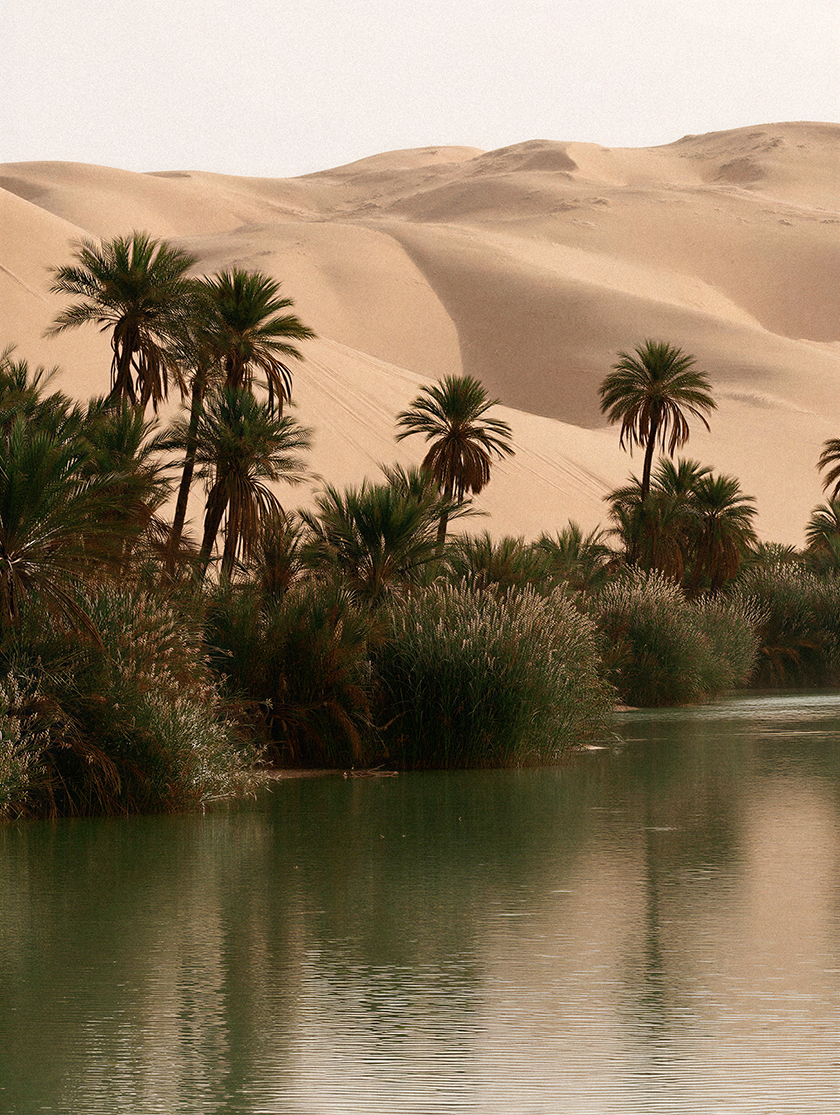 Palm-lined desert oasis with calm water, lush vegetation and sweeping sand dunes, capturing the natural landscape of Egypt.