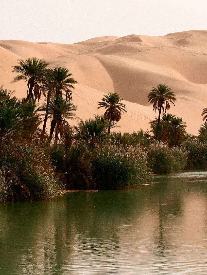 Palm-lined desert oasis with calm water, lush vegetation and sweeping sand dunes, capturing the natural landscape of Egypt.