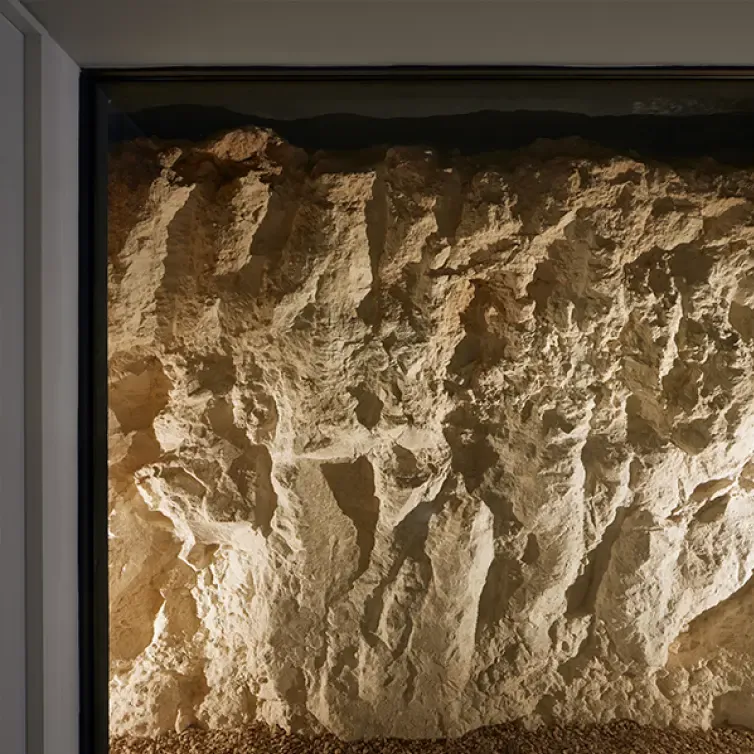 Illuminated rock wall installation, showcasing raw texture and earthy tones as a natural interior feature.