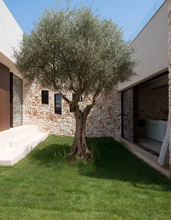 A quiet inner patio connecting interiors with the sky and nature.